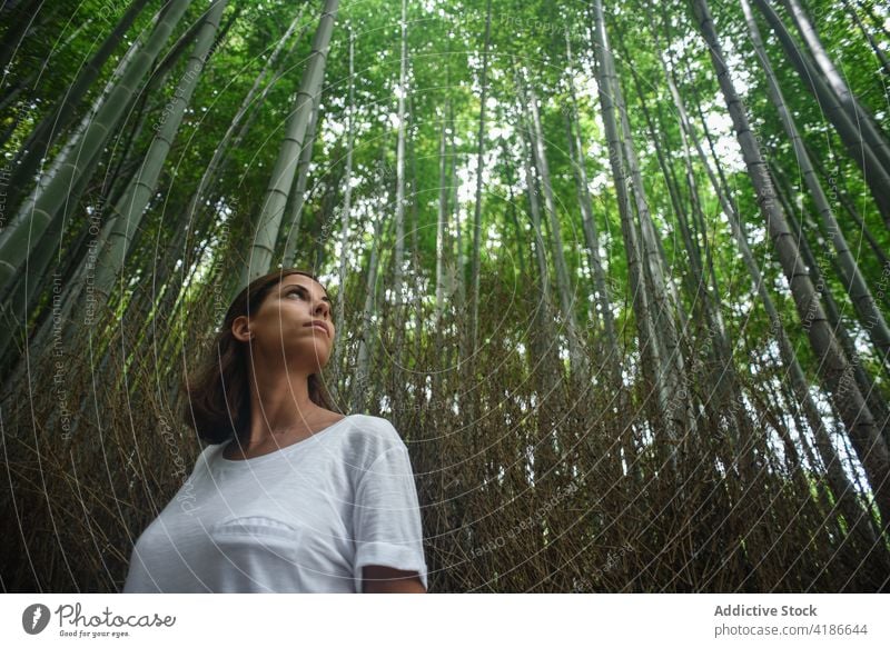 Junge kaukasische weibliche Reisende im Arashiyama Bamboo Grove Wald 30s Kaukasier Frau Reisender Japan Bambuswald