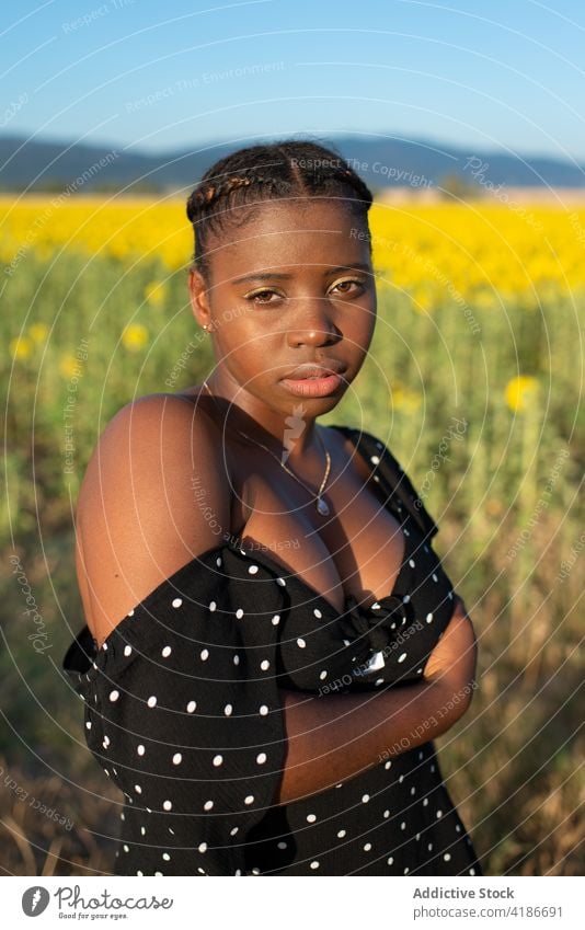 Friedliche schwarze Frau in einem Feld mit Sonnenblumen auf dem Lande ruhig Sommer friedlich Dorf Landschaft Blume Kleid ethnisch Afroamerikaner genießen