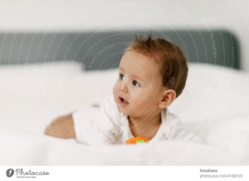 Das Kind liegt in einem schneeweißen Bett, lacht und spielt mit einer Rassel. Baby Familie Spaß Rasseln Gesundheit heimwärts Schneewittchen Innenbereich lachen