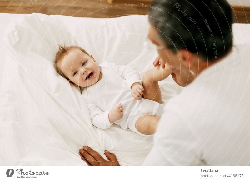 Glücklicher Vater spielt mit entzückenden Baby im Schlafzimmer in einem schneeweißen Bett Kind Papa Eltern niedlich Liebe Menschen Mann Fröhlichkeit heimwärts
