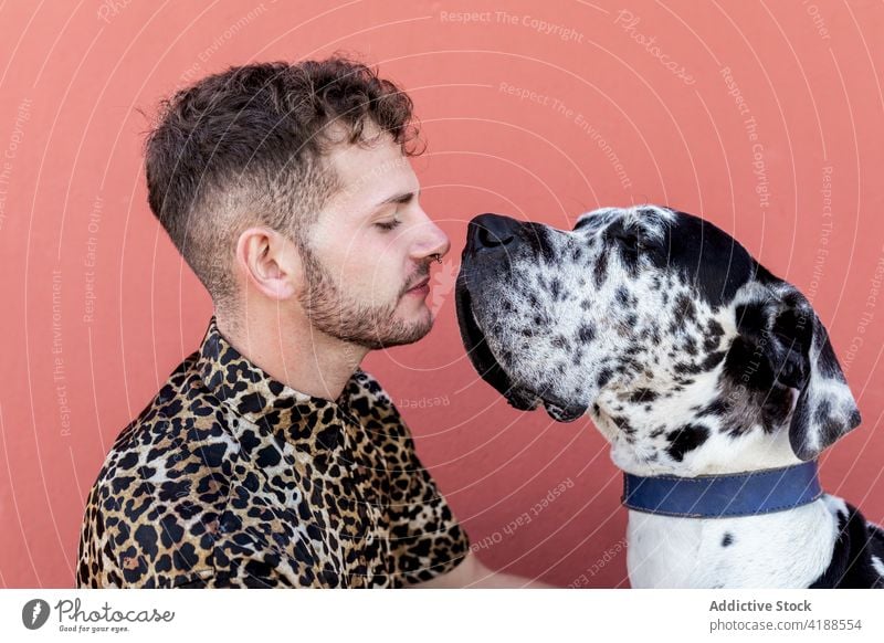 Junger Mann und reinrassiger Hund umarmen sich auf der Straße Deutsche Dogge Umarmung bester Freund Liebe Vertrauen Besitzer Tier Haustier gehorsam Begleiter