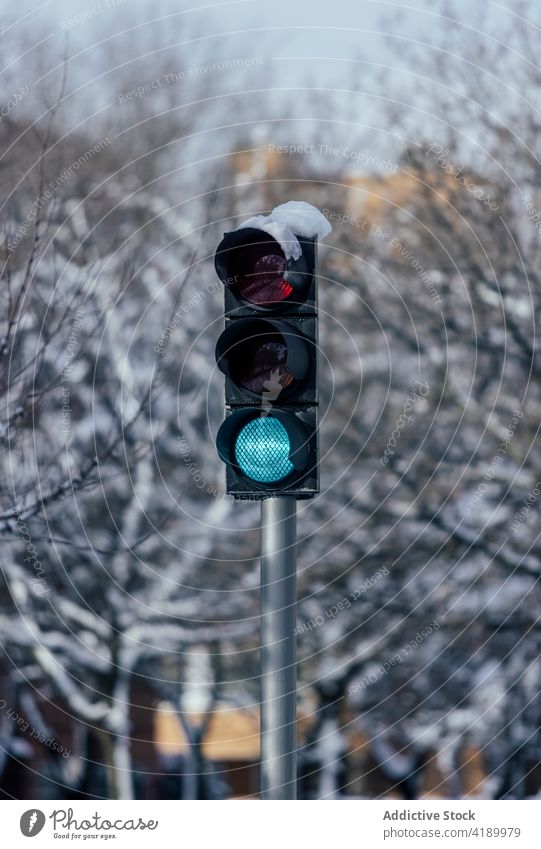 Grüne Ampel vor verschneiten Bäumen in winterlicher Stadt Verkehr Licht stoppen verbieten verboten Gefahr Ermahnung Symbol Winter Beitrag Metall Baum Geometrie