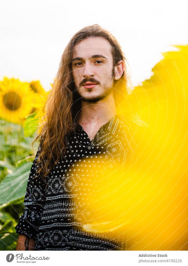 Mann im Sonnenblumenfeld im Sommer Feld Gelassenheit sorgenfrei Blume gelb Blütezeit Wiese männlich stehen Harmonie Landschaft ruhig friedlich Natur idyllisch