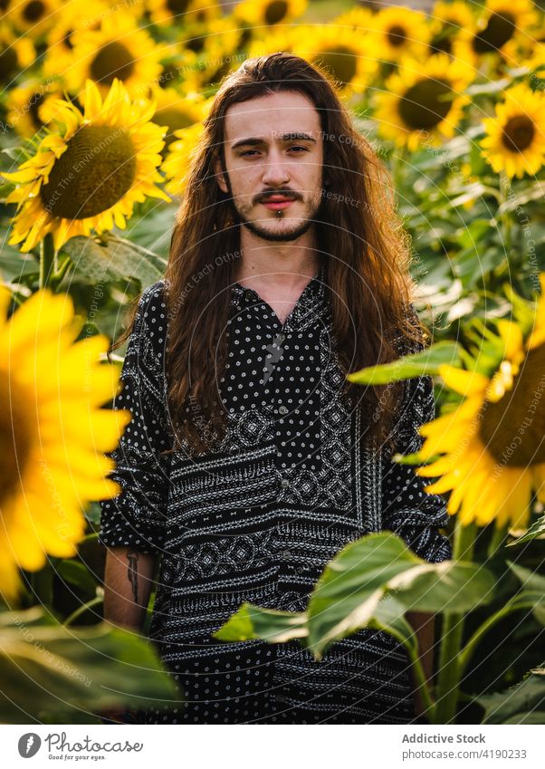 Mann im Sonnenblumenfeld im Sommer Feld Gelassenheit sorgenfrei Blume gelb Blütezeit Wiese männlich stehen Harmonie Landschaft ruhig friedlich Natur idyllisch