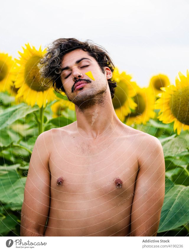Ruhiger Mann auf einem Sonnenblumenfeld Feld Sommer Gelassenheit Harmonie gelb Blütenblatt Blume natürlich männlich sorgenfrei Blütezeit Wiese stehen Landschaft