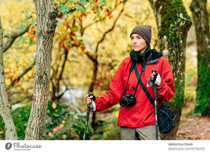 Junge weibliche Reisende in Oberbekleidung beim Nordic Hiking im Wald Frau reisen Nordic Walking Wanderung Herbst Aktivität Abenteuer sportlich Fotograf positiv