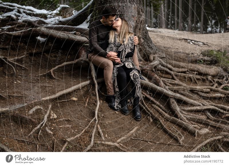 Lächelndes Paar, das sich im Wald umarmt und auf Baumwurzeln sitzt Angebot Winter positiv sanft Liebe Umarmen Bonden romantisch Freundin Zuneigung Zusammensein