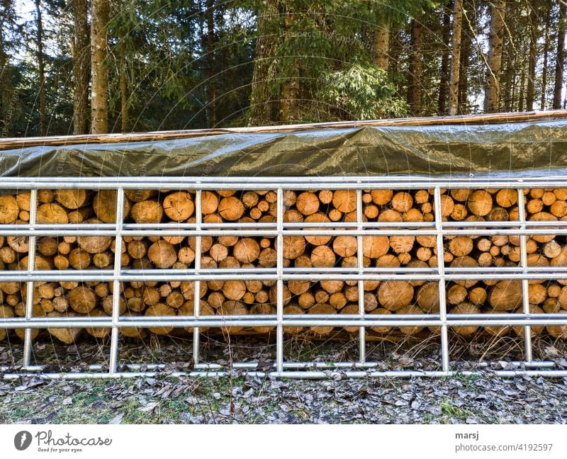 Brennholz, mit Plane geschützt und davor ein verzinktes Eisengatter Stapel Brennstoff Holzstapel CO2-neutral natürliche energie gestapelt idyllisch