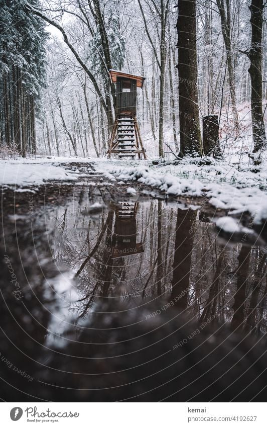 Hochsitz im Wald im Winter Jägerstand Jägerhochsitz Weg Schnee Pfütze Spiegelung kalt braun weiß