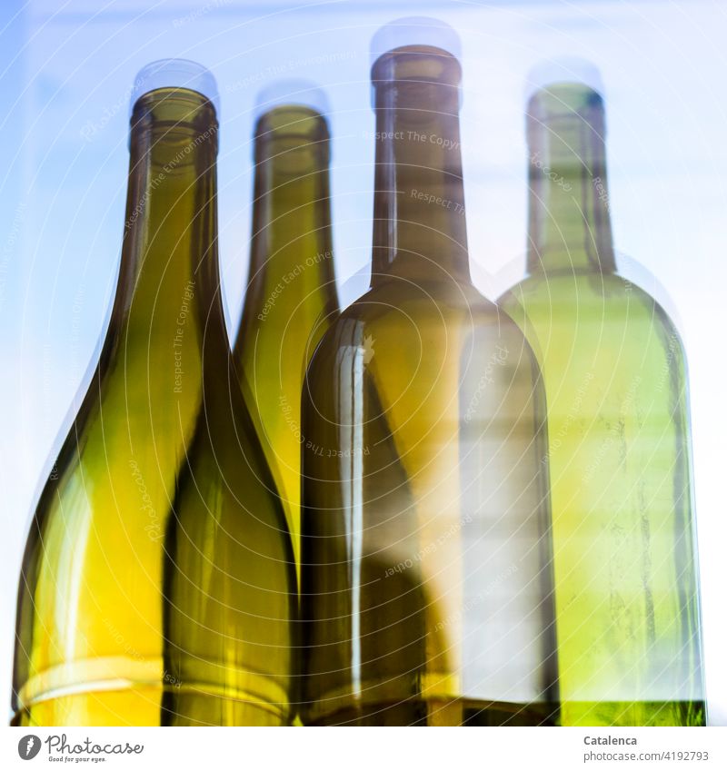 Empfehlung | immer viel Wein trinken Weinflaschen leer Spieglung Resektion nahrungsmittel Alkohol Genußmittel Sucht betrinken Flasche Glas Grün Braun Tag