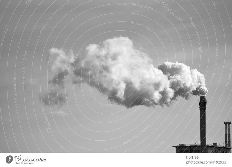 Schornstein einer Industrieanlage mit Emmission Emission Abgas Wasserdampf Kohlekraftwerk Energiewirtschaft Umweltverschmutzung Krankheit gigantisch trist