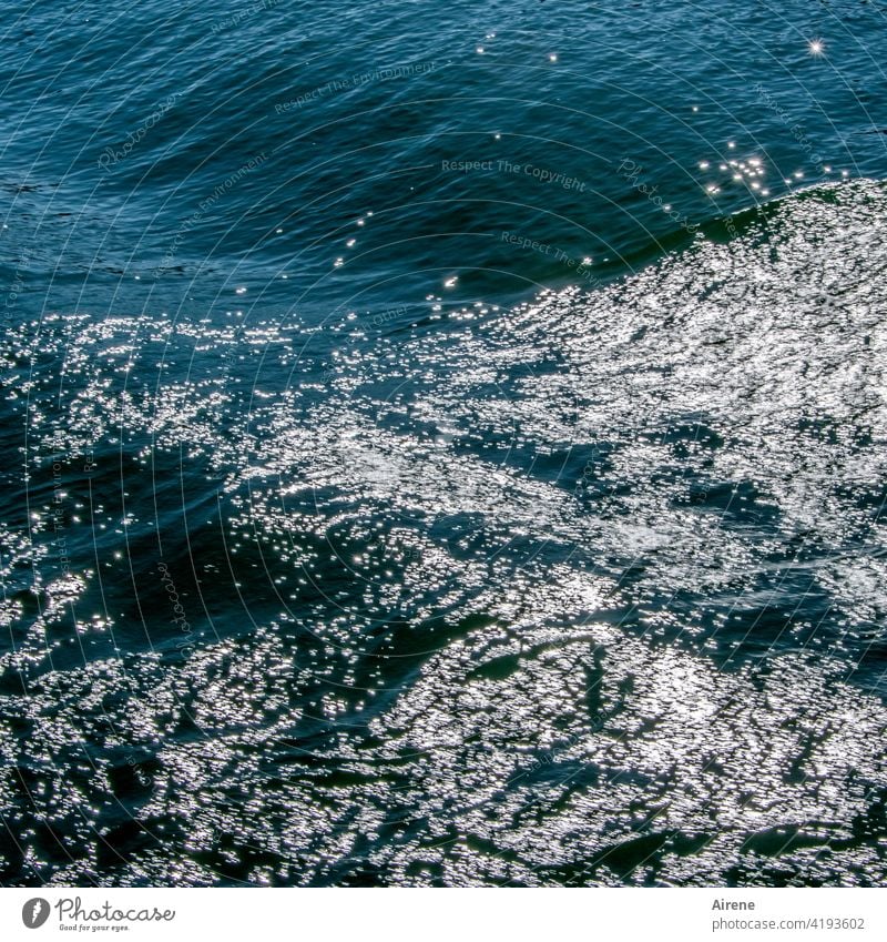 objektiv | H2O blau Wellen Wasser frisch weiß Sommer maritim Bewegung Urelemente nass Flüssigkeit Meer tief Schönes Wetter Ferien & Urlaub & Reisen Freiheit