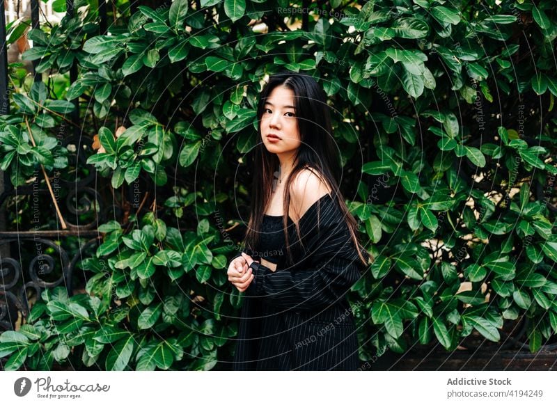 Langhaarige brünette asiatische Frau schaut in die Kamera mit einem Garten hinter ihr Japanisch Asien jung Model Chinesisch Stil attraktiv Dame Straße modern