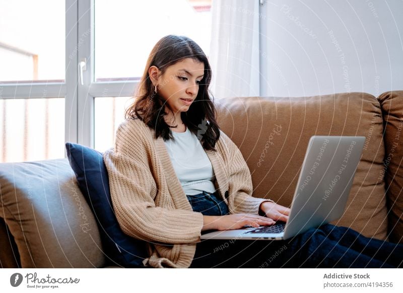 Frau sitzt auf dem Sofa und arbeitet am Laptop freiberuflich Tippen heimwärts Arbeit abgelegen Projekt Entfernung Liege sitzen Internet online Surfen