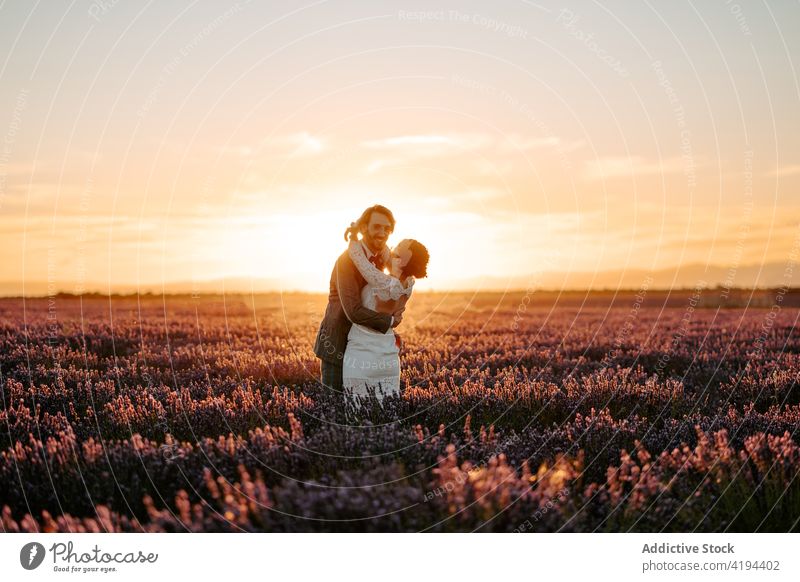 Glückliches frisch verheiratetes Paar umarmt in Lavendelfeld bei Sonnenuntergang Jungvermählter Feld heben Braut striegeln Hochzeit Umarmung romantisch Kleid