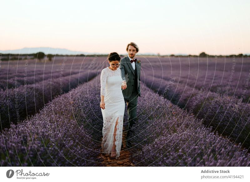 Frisch verheiratetes Paar beim Spaziergang im Lavendelfeld Jungvermählter Feld Hochzeit Braut striegeln romantisch Händchenhalten weiß Kleid Anzug Lächeln Natur