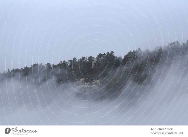 Dichter Nebel über grünem Wald Landschaft Wälder Stimmung Berge u. Gebirge Hochland dick sierra de guadarrama Spanien Dunst national Park dicht Gelände
