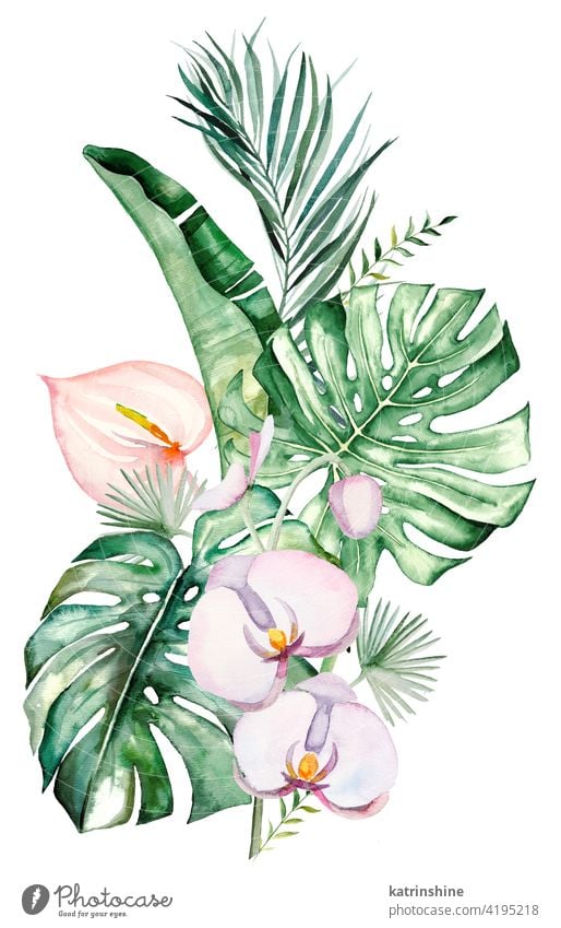 Aquarell tropische Blumen und Blätter Bouquet Illustration Wasserfarbe Orchideen Anturium rosa erröten Handfläche Fensterblätter Wurmfarn Banane Blumenstrauß