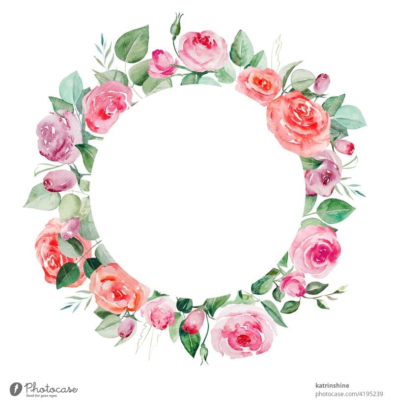 Aquarell rosa und roten Rosen Blumen und Blätter Rahmen Illustration Wasserfarbe Knospen erröten Totenkranz Zeichnung grün Grafik u. Illustration geometrisch