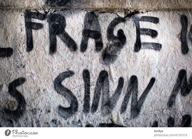 Frage , Sinn, Graffiti, Ausschnitt einer gesprayten  Schrift auf einer Betonwand hinterfragen Schriftzeichen Buchstaben Wand Jugendkultur Wort Sinnfrage Zweifel
