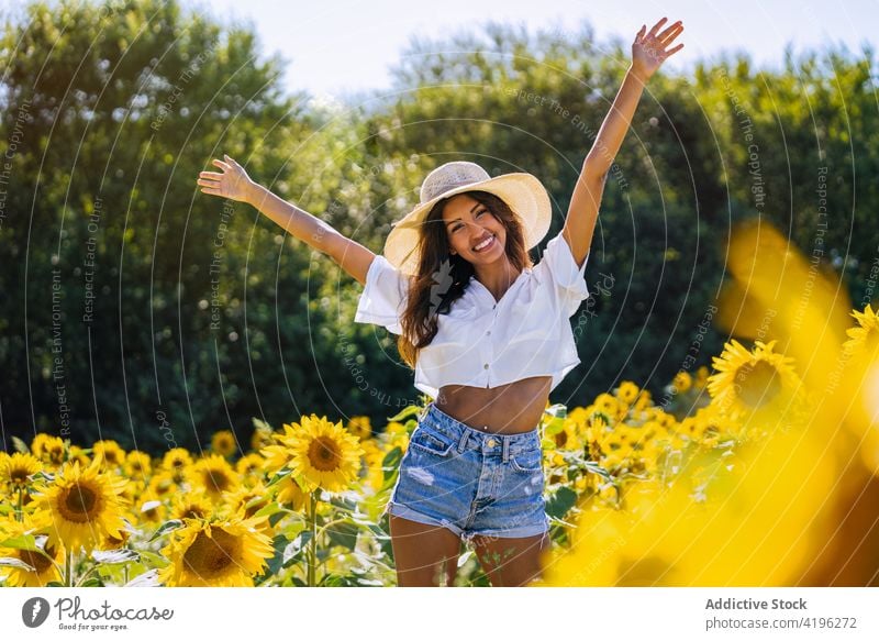 Glückliche Frau im Sonnenblumenfeld im Sommer Feld sorgenfrei Lächeln Blume gelb Blütezeit heiter genießen stehen Natur Freiheit Hand erhoben Arme hochgezogen