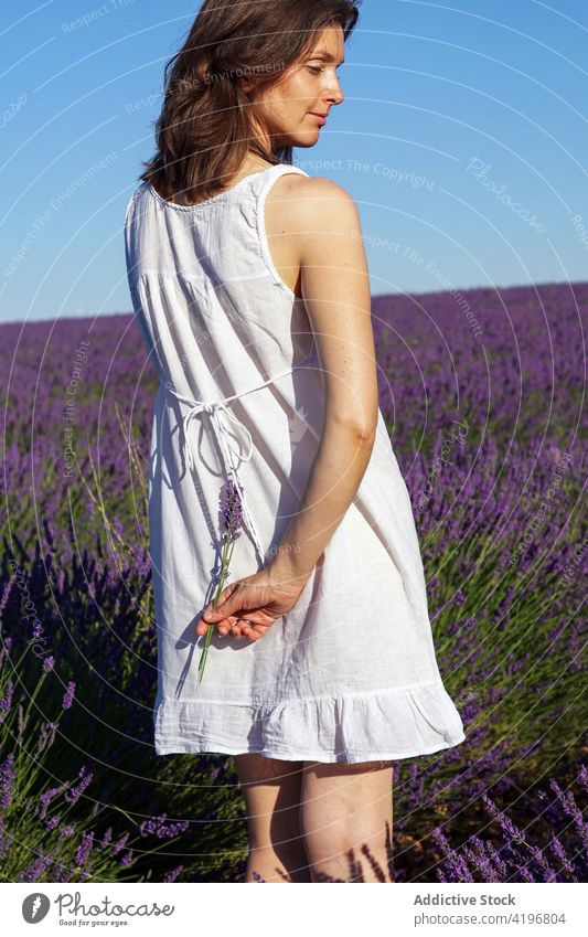 Romantische junge Frau, die sich in einem blühenden Lavendelfeld auf dem Lande erholt sich[Akk] entspannen Feld friedlich romantisch Blume malerisch Natur