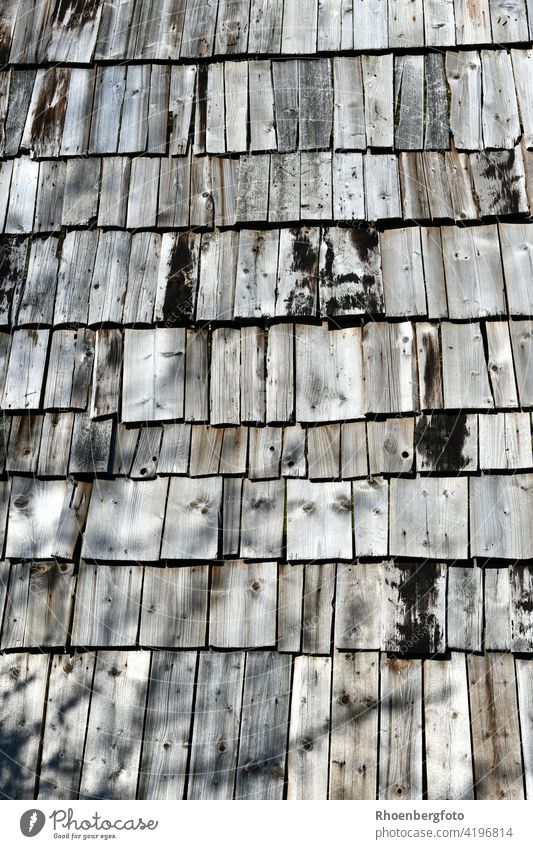 naturbelassenes Holzdach mit Schindeln in einer Keltensiedlung holz dachstuhl schindeln tafeln hämmern nageln bauwerk haus behausung konstruktion früher zeit
