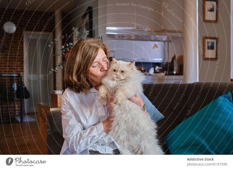 Ältere Frau spielt mit Katze auf Sofa Tier Kuss Haustier Liege Senior spielen Streicheln Kraulen Wohnzimmer gealtert heimwärts weiß kuscheln katzenhaft älter