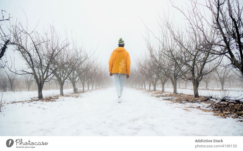 Mann geht im verschneiten Park mit blattlosen Bäumen spazieren Winter Frost Weg Schnee kalt Baum Natur Dunst Oberbekleidung warme Kleidung gefroren Fußweg