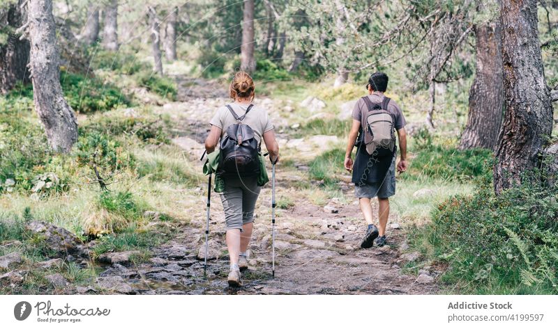 Unbekanntes Wandererpaar beim Trekking in den Bergen schlendern Weg Urlaub Route Natur Ausflug Mast Sommer Zusammensein Partner rau reisen Backpacker Tourismus