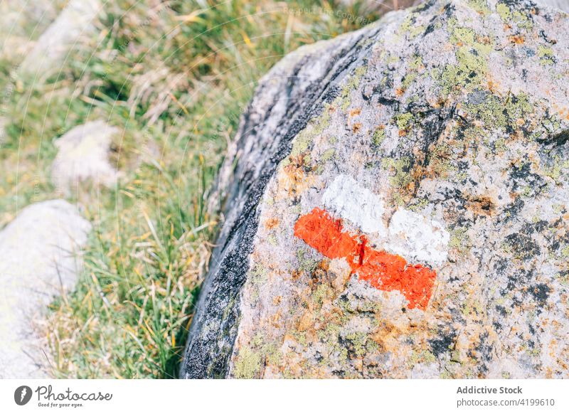 Rauher Stein mit aufgemalter polnischer Flagge auf Gras Felsbrocken Fahne Natur national Mut Reinheit Patriotismus Frieden Symbol Stärke rau trocknen Polen
