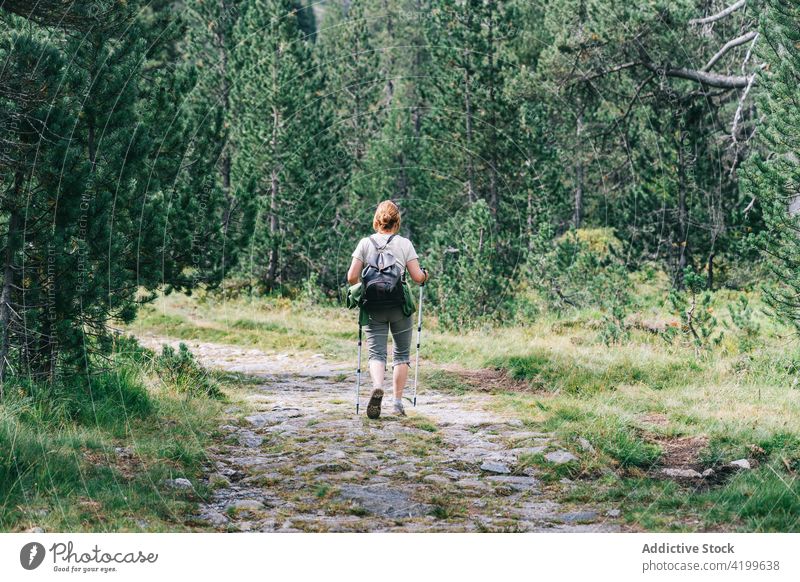 Anonyme aktive Frau, die mit Stöcken auf einem steinigen Berghang spazieren geht Spaziergang Stangengehen Hügel Weg Energie Trekking Nordic Walking physisch