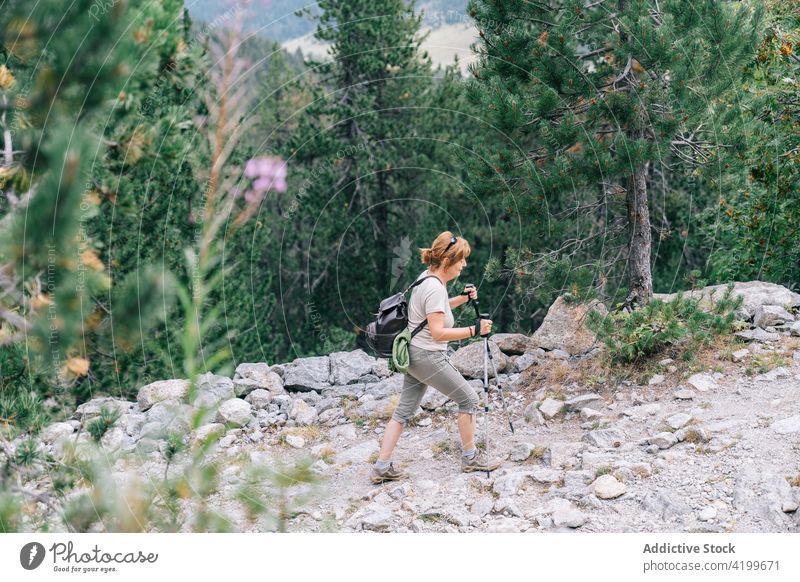 Aktive Frau, die mit Stöcken auf einem steinigen Berghang spazieren geht Spaziergang Stangengehen aktiv Hügel Weg Energie Trekking Nordic Walking physisch