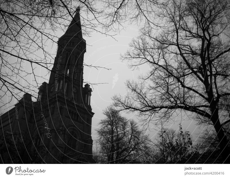 Wintertag an der Zionskirche Berlin-Mitte kahle Bäume Silhouette Kirche grauer Himmel Gegenlicht Architektur Strukturen & Formen Schatten düster trist