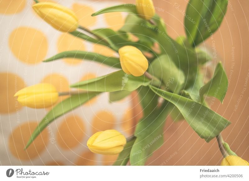 Gelber Tulpenstrauß auf Holztisch und gelb getupftem Untergrund von oben Blumenstrauß Frühling Dekoration & Verzierung Farbfoto Blühend Innenaufnahme Stillleben