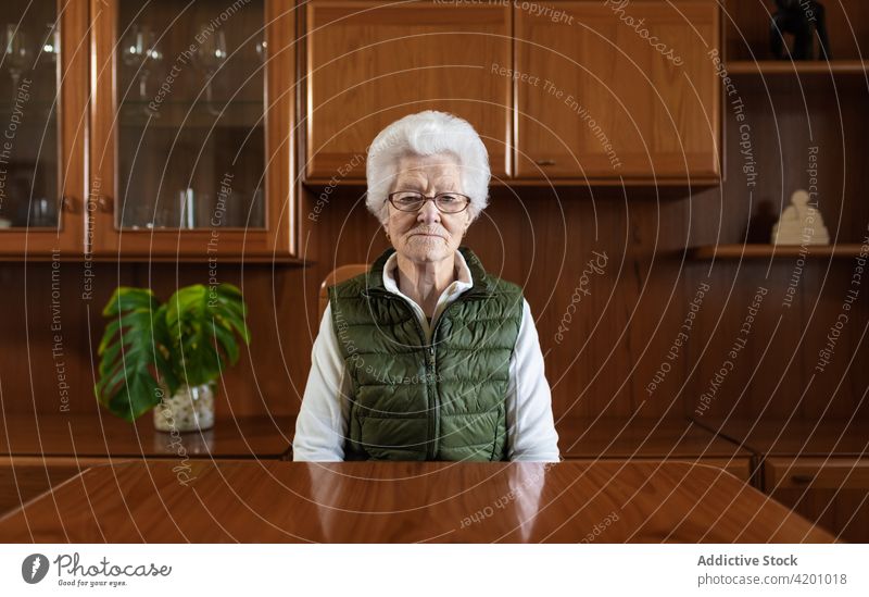 Ältere Frau am Tisch gegen den Schrank zu Hause Rentnerin ernst Reflexion & Spiegelung Brille heimisch Porträt Pflanze natürlich Schreibtisch hölzern vegetieren