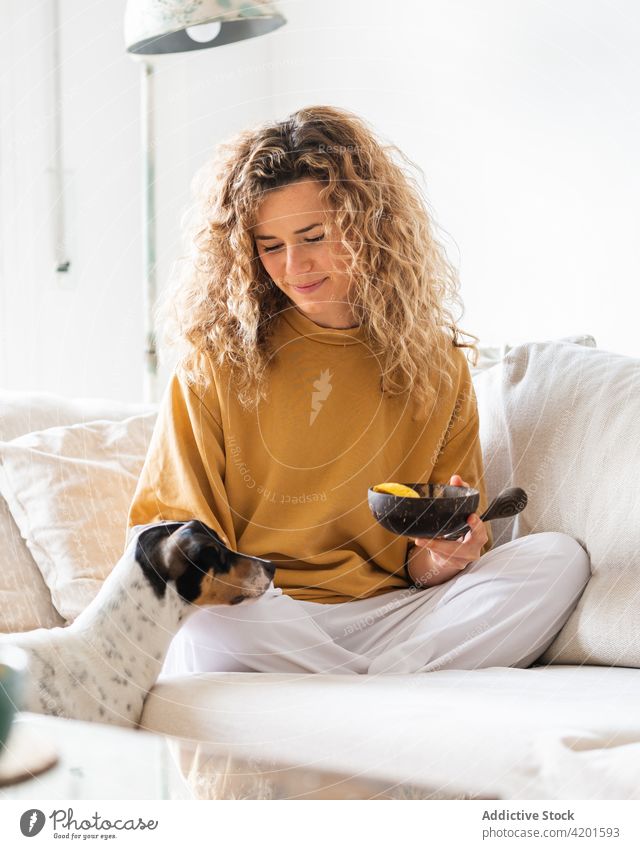 Positive Hündin, die auf dem Sofa isst und einen gehorsamen Hund ansieht Frau heiter positiv Haustier ratonero bodeguero andaluz essen Schalen & Schüsseln