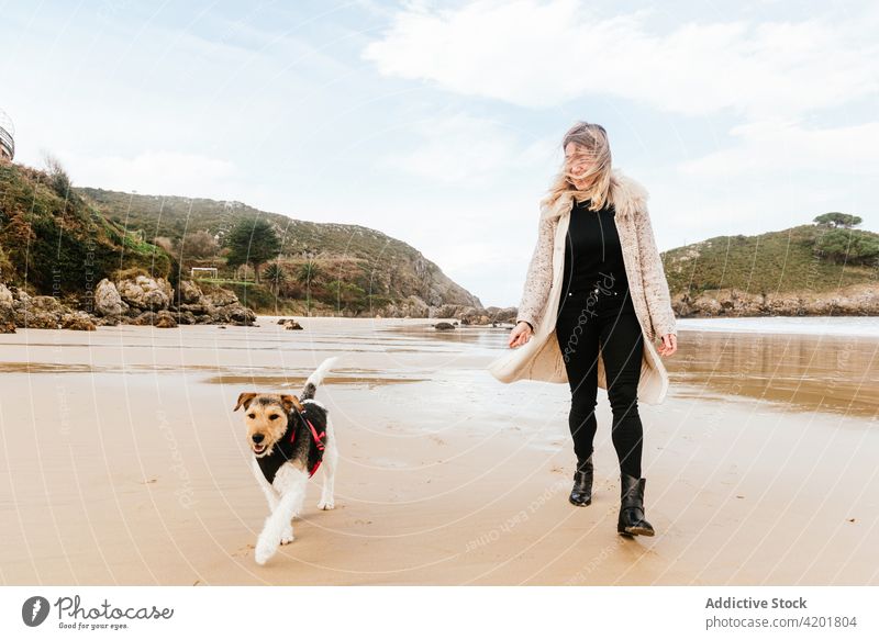Frau führt Foxterrier am Meeresufer aus Hund Fox-Terrier Aufmerksamkeit gehorsam Eckzahn Kabelbaum Haustier Küste sandig schlendern freie Zeit Strand Hochland