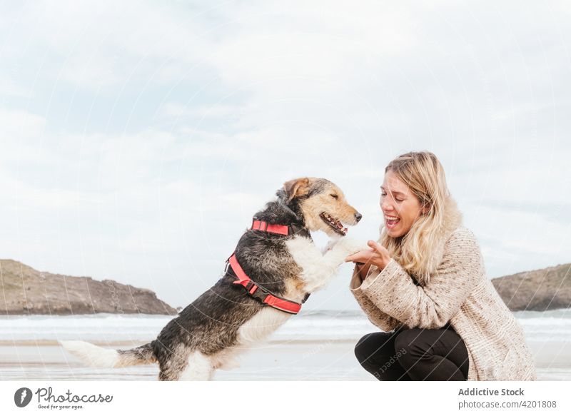 Frau hält Pfoten eines Foxterriers gegen das Meer Fox-Terrier Hund Eckzahn Haustier Liebe Porträt Kraulen heiter Bonden Lächeln Zuneigung freie Zeit Halt Glück