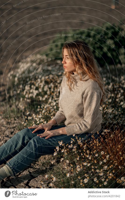 Nachdenkliche Frau im Frühlingsfeld sitzend Feld nachdenken nachdenklich Windstille Reisender Natur besinnlich ruhen sich[Akk] entspannen Umwelt jung allein