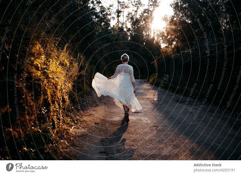Unbekannte Frau im Kleid geht im Park spazieren weißes Kleid Straße ländlich Baum Natur Landschaft Spaziergang Weg schlendern Abend Umwelt Wald Sonnenuntergang