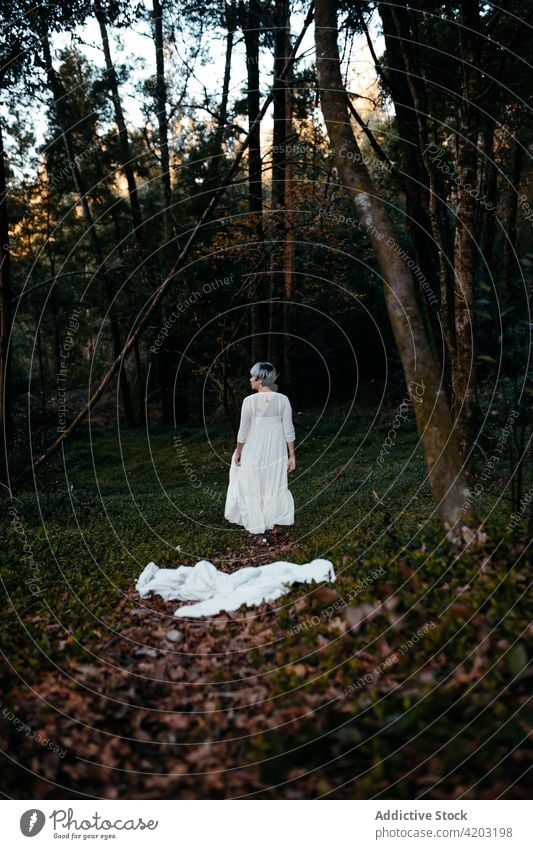 Unbekannte Frau im Kleid im Park stehend weißes Kleid ländlich Baum Natur Landschaft Weg schlendern Abend Umwelt Wald Sonnenuntergang Dame Gelassenheit Wälder