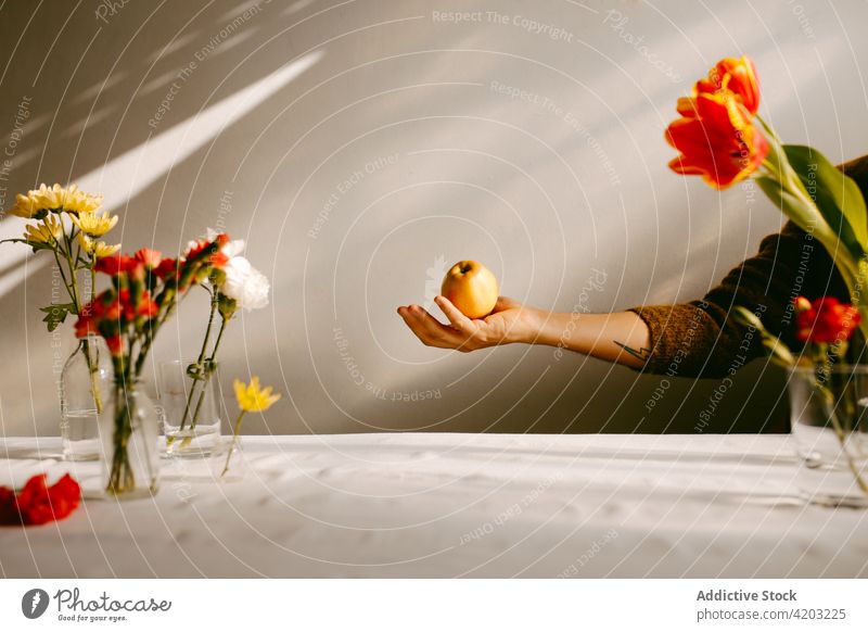 Person wirft Apfel in Atelier mit Blumen reif werfen schweben Fliege Frucht Tulpe Nelke Blütezeit Lebensmittel Blumenstrauß geblümt lecker natürlich Vitamin
