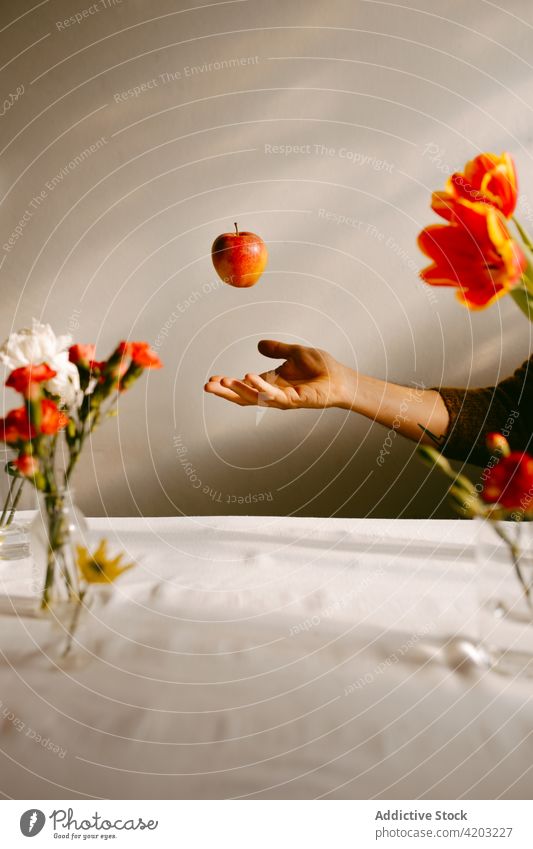 Person wirft Apfel in Atelier mit Blumen reif werfen schweben Fliege Frucht Tulpe Nelke Blütezeit Lebensmittel Blumenstrauß geblümt lecker natürlich Vitamin