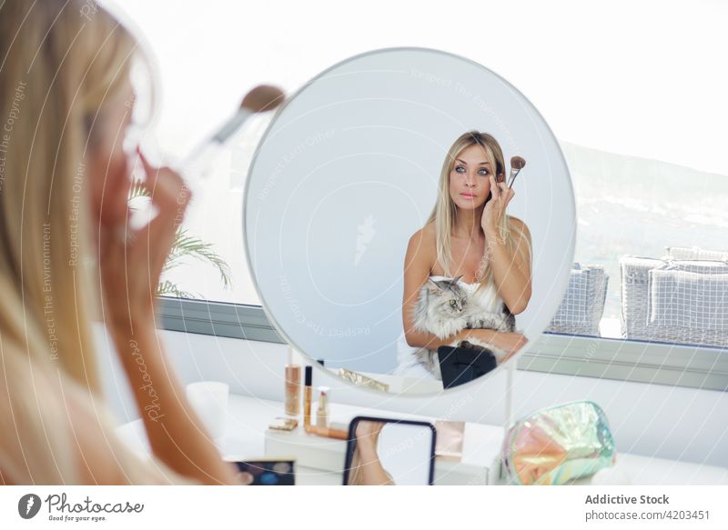 Frau macht Make-up zu Hause heimwärts Pulver bewerben Kosmetik Schönheit Spiegel Reflexion & Spiegelung Katze Leckerbissen vorbereiten charmant Routine
