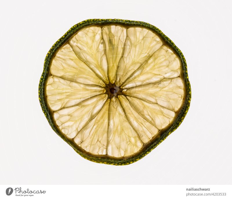 Zitrone Zitronenscheibe trocken durchsichtig Strukturen & Formen struktur Vegane Ernährung Foodporn vegan alt älter vertrocknet Linien schrumplig schrumpeln