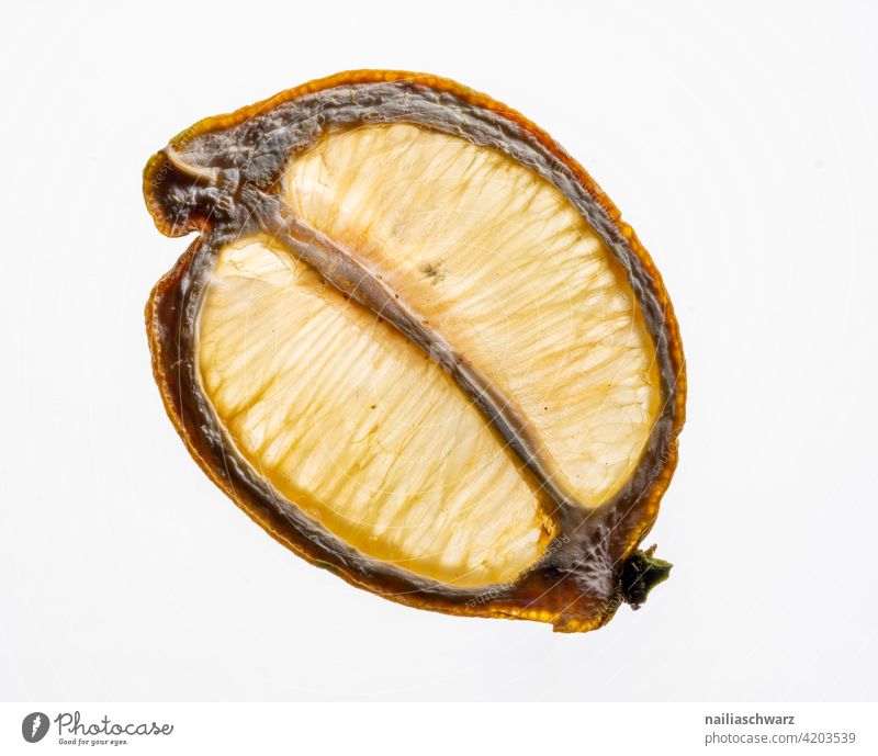 Zitrone gelb Foodfotografie Schnittstelle Pflanze Essen Zutaten alt älter vertrocknet Linien schrumplig schrumpeln vegan Foodporn Vegane Ernährung struktur