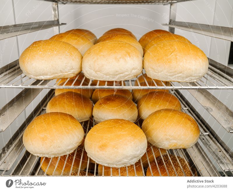 Leckeres frisches Brot auf Ständern in der Bäckerei lecker natürlich Kruste Produkt Aroma Ablage Reihe appetitlich Ornament rund Form ähnlich Arbeitsbereich