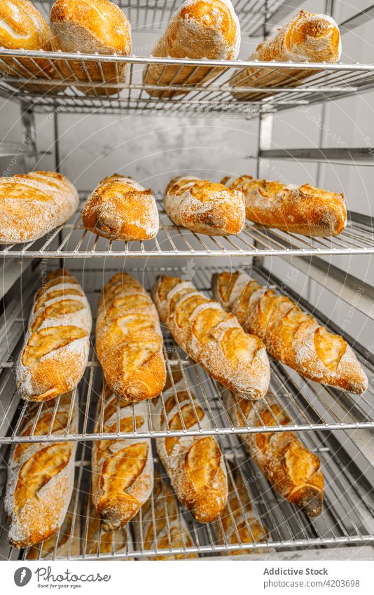 Leckeres frisches Brot auf Ständern in der Bäckerei lecker natürlich Kruste Produkt Aroma Ablage Reihe appetitlich Ornament Oval Form ähnlich Arbeitsbereich