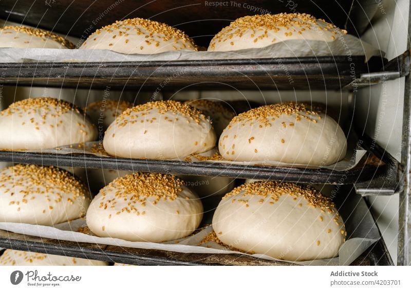 Rohes Brot mit Körnern auf Tabletts in der Bäckerei Teigwaren Samen Müsli natürlich Produkt ungekocht Reihe rund Form ähnlich golden Korn Farbe Oberfläche